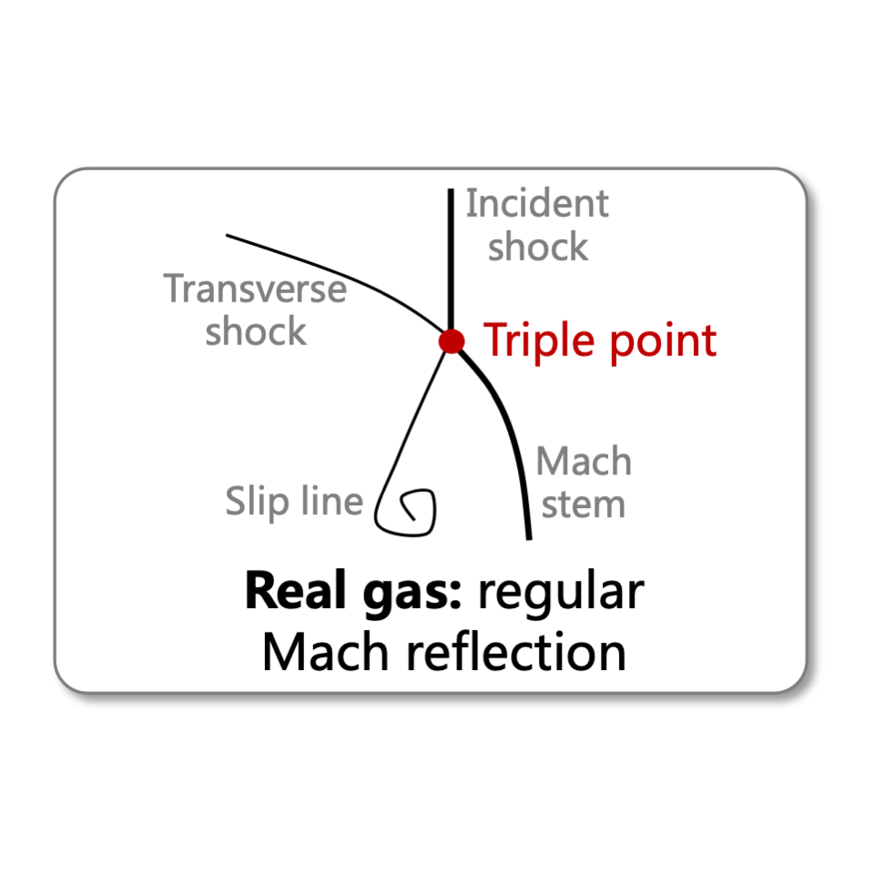 2025_DetailChem_Det.png